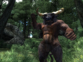 Elder Scrolls IV