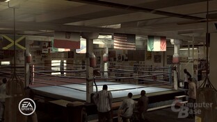 Fight Night Round 3
