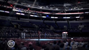 Fight Night Round 3