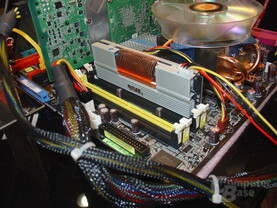 GeIL EVO 1 in Aktion GeIL EVO 1 in Aktion