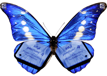 HT Logo