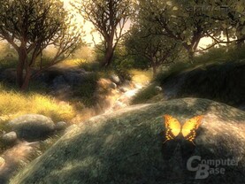 Mother Nature Bild 3
