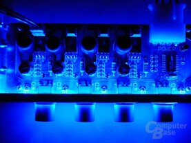 NXP-201 - Blaue LEDs