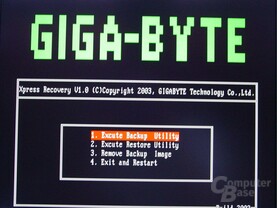 Gigabyte GA-8S648FX