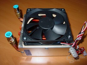 Zern - Radiator - 2