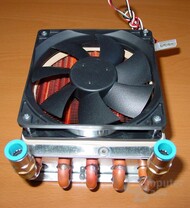 Zern - Radiator