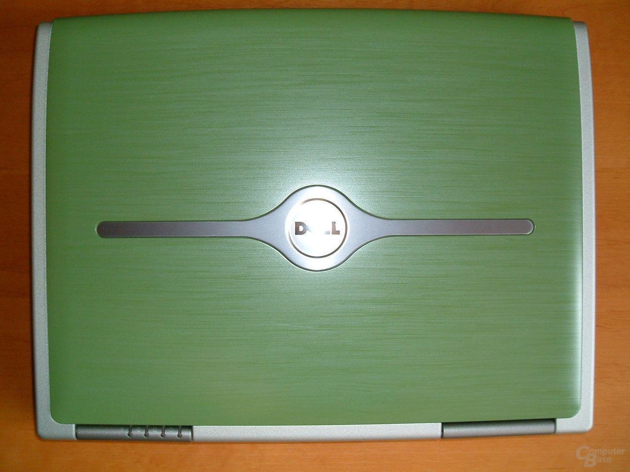 Grüner Bambus