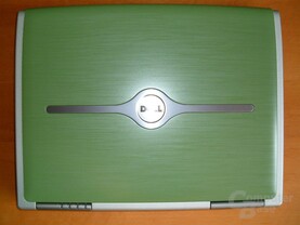 Grüner Bambus