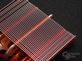 SP94 03