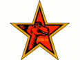 Wachsender Erfolg der Mozilla-Browser