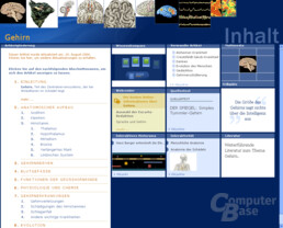 Inhaltsvergleich ("Gehirn"): Encarta