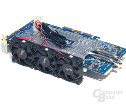 NorthQ NQ-3801