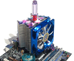 Titan Vanessa L-Type