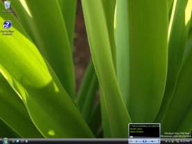 Windows Media Player 11