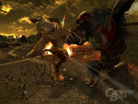 Black & White 2: Battle of the Gods