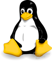 Linux kernel 2.6.25.17 booting