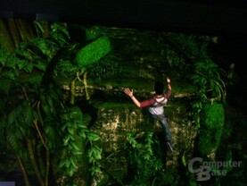 Naughty Dog Game
