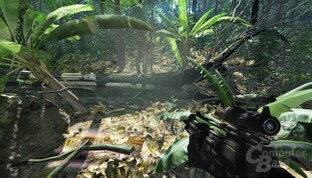 Crysis
