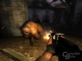 S.T.A.L.K.E.R.: Shadow of Chernobyl