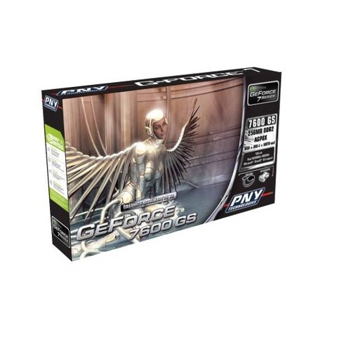 GeForce 7600 GS für AGP
