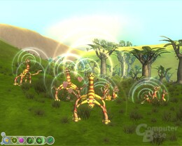 Spore