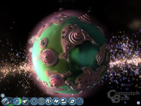 Spore