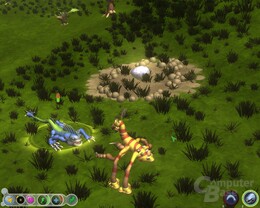 Spore