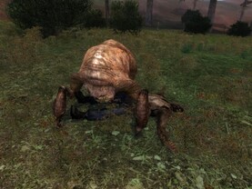 Stalker: Shadow of Chernobyl | 17.2.2007
