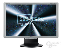 NEC MultiSync 20WGX²