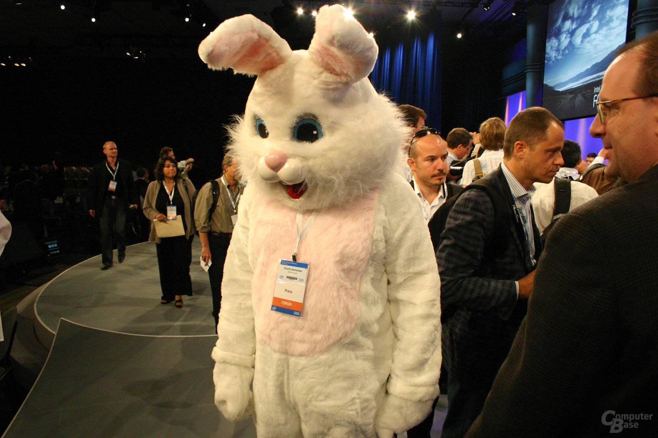 IDF Fall 2006 Osterhase Charlie vom Inquirer