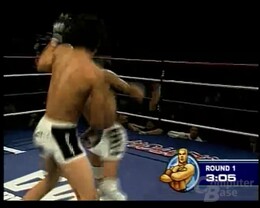 Fight TV auf Joost