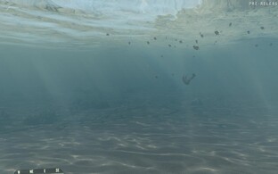 Vista 64-bit, DX10, 2048x1536, 16xAF/4xAA, "Extreme"