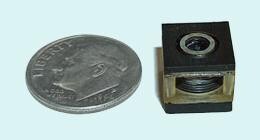 Künstlicher Muskel und Dime (10 US-Cent) im Größenvergleich
