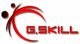 G.Skill Logo G.Skill Logo