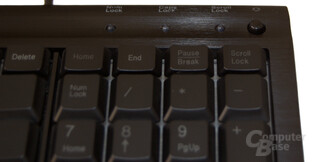 Everglide DKTBoard