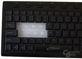 Everglide DKTBoard