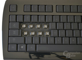 Razer Lycosa