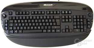 Microsoft Reclusa