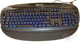 Microsoft Reclusa