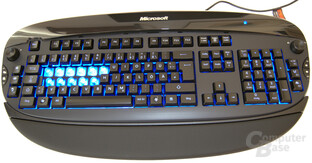 Microsoft Reclusa