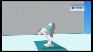 Wii Fit Wii Fit