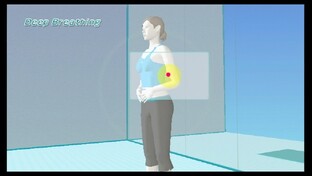 Wii Fit Wii Fit