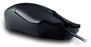 Razer Salmosa