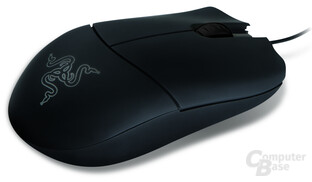 Razer Salmosa