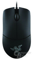 Razer Salmosa
