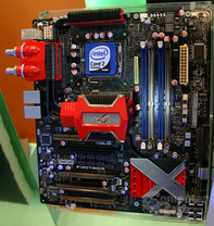 Asus Pinotnoir