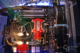 Asus Pinotnoir