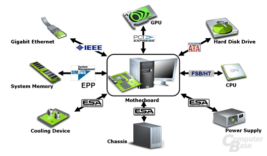 ESA Diagramm