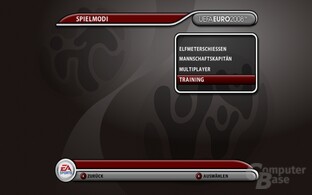 UEFA Euro 2008 – Spielmodi