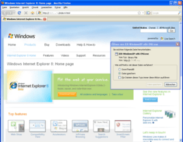 Angebliche Microsoft-Seite